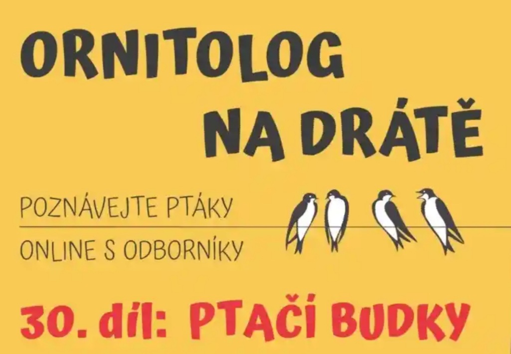 logo pořadu ČSO Ornitolog na drátě